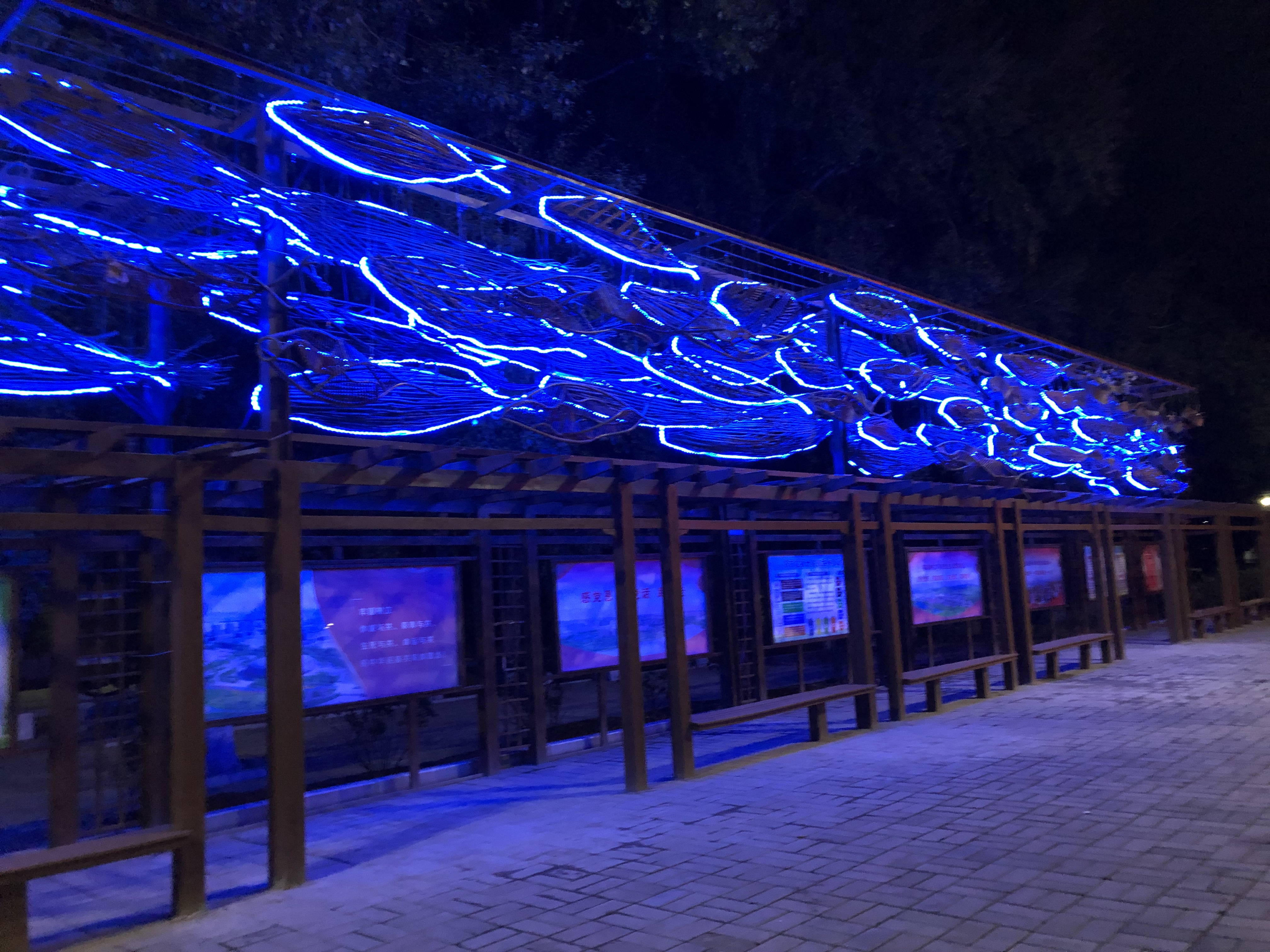 说明: https://api.ccmapp.cn/apis/file/dl/source/65117b12af9122ee5ac5eb45.jpg 说明: https://api.ccmapp.cn/apis/file/dl/source/65117b12af9122ee5ac5eb45.jpg