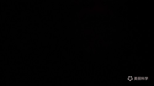 20190111zhuwenting9.gif